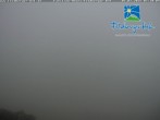 Archiv Foto Webcam am Feldberger Hof 06:00
