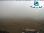 Archiv Foto Webcam am Feldberger Hof 05:00
