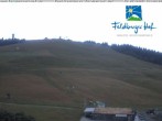 Archived image Webcam Feldberger Hof 13:00