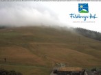 Archiv Foto Webcam am Feldberger Hof 11:00