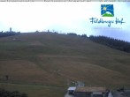 Archiv Foto Webcam am Feldberger Hof 11:00