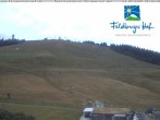 Archiv Foto Webcam am Feldberger Hof 11:00