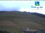 Archiv Foto Webcam am Feldberger Hof 13:00