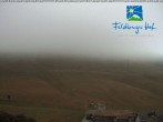 Archiv Foto Webcam am Feldberger Hof 05:00