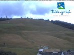 Archiv Foto Webcam am Feldberger Hof 13:00