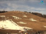 Archiv Foto Webcam am Feldberger Hof 11:00