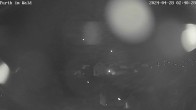 Archived image Webcam City of Furth im Wald 01:00