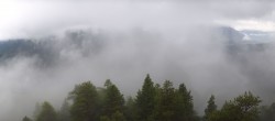 Archiv Foto Webcam Rheinschlucht - Swiss Grand Canyon 11:00