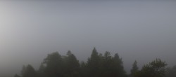 Archiv Foto Webcam Rheinschlucht - Swiss Grand Canyon 12:00