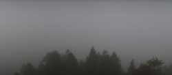 Archiv Foto Webcam Rheinschlucht - Swiss Grand Canyon 14:00
