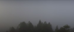 Archiv Foto Webcam Rheinschlucht - Swiss Grand Canyon 06:00