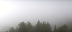 Archiv Foto Webcam Rheinschlucht - Swiss Grand Canyon 07:00