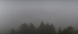 Archiv Foto Webcam Rheinschlucht - Swiss Grand Canyon 08:00