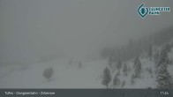 Archiv Foto Webcam Glungezer: Panoramablick Zirbensee 05:00