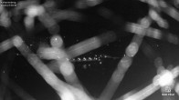 Archiv Foto Webcam Kalvarienberg bei Bad Tölz 23:00