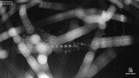 Archiv Foto Webcam Kalvarienberg bei Bad Tölz 23:00