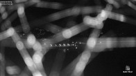 Archived image Webcam Bad Tölz - Kalvarienberg 01:00