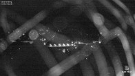 Archiv Foto Webcam Kalvarienberg bei Bad Tölz 01:00