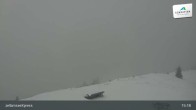 Archiv Foto Webcam Bergstation: zellamseeXpress 14:00