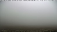 Archiv Foto Webcam Bad Hindelang - Bergstation Wiedhag Alpe 11:00