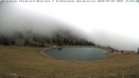 Archiv Foto Webcam Bad Hindelang - Bergstation Wiedhag Alpe 11:00
