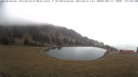 Archived image Webcam Bad Hindelang - Wiedhag Alp top station 13:00