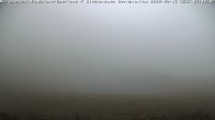 Archived image Webcam Bad Hindelang - Wiedhag Alp top station 08:00