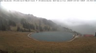 Archiv Foto Webcam Bad Hindelang - Bergstation Wiedhag Alpe 11:00