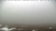 Archiv Foto Webcam Bad Hindelang - Bergstation Wiedhag Alpe 13:00