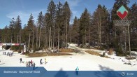 Archiv Foto Webcam Blick auf den Bretterschachten in Bodenmais 10:00