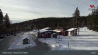 Archiv Foto Webcam Blick auf den Bretterschachten in Bodenmais 12:00