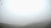 Archiv Foto Webcam Blick vom Rojen - Vinschgau 11:00