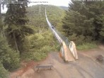 Archiv Foto Webcam Hängebrücke Geierlay bei Mörsdorf 11:00