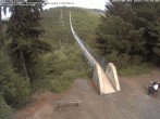Archiv Foto Webcam Hängebrücke Geierlay bei Mörsdorf 13:00
