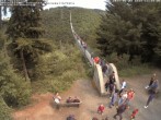 Archiv Foto Webcam Hängebrücke Geierlay bei Mörsdorf 11:00