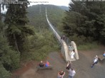 Archiv Foto Webcam Hängebrücke Geierlay bei Mörsdorf 11:00