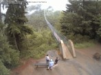 Archived image Webcam Geierlay Suspension Bridge Mörsdorf 13:00