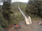 Archiv Foto Webcam Hängebrücke Geierlay bei Mörsdorf 15:00