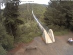 Archiv Foto Webcam Hängebrücke Geierlay bei Mörsdorf 17:00
