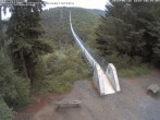 Archiv Foto Webcam Hängebrücke Geierlay bei Mörsdorf 19:00