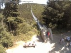 Archiv Foto Webcam Hängebrücke Geierlay bei Mörsdorf 11:00