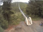 Archiv Foto Webcam Hängebrücke Geierlay bei Mörsdorf 11:00
