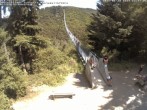 Archiv Foto Webcam Hängebrücke Geierlay bei Mörsdorf 11:00