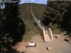 Archiv Foto Webcam Hängebrücke Geierlay bei Mörsdorf 13:00