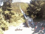 Archiv Foto Webcam Hängebrücke Geierlay bei Mörsdorf 11:00