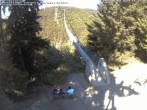 Archiv Foto Webcam Hängebrücke Geierlay bei Mörsdorf 15:00