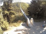 Archiv Foto Webcam Hängebrücke Geierlay bei Mörsdorf 09:00