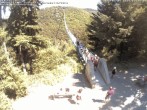 Archiv Foto Webcam Hängebrücke Geierlay bei Mörsdorf 11:00