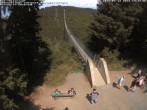 Archiv Foto Webcam Hängebrücke Geierlay bei Mörsdorf 13:00