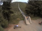 Archiv Foto Webcam Hängebrücke Geierlay bei Mörsdorf 11:00
